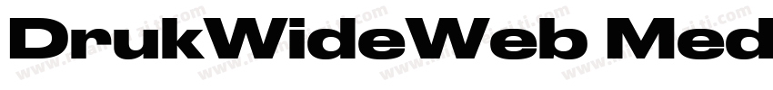 DrukWideWeb MediumIt字体转换